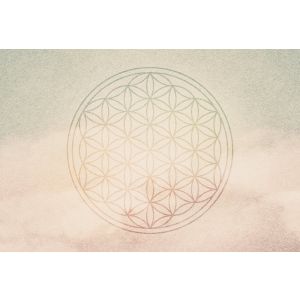 DD117580 Photomural Flower Of Life 2