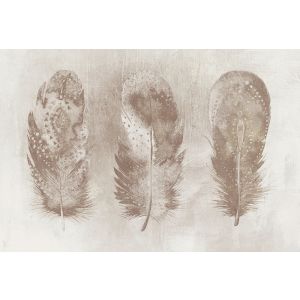 DD117635 Photomural Motley Feather 4