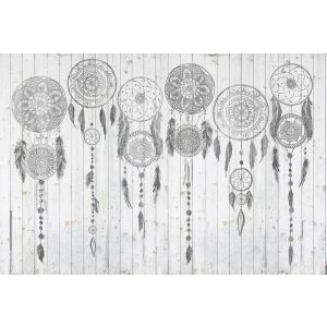 DD117645 Photomural Grey Dream