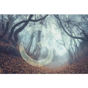 DD117780 Photomural Symbol Forest 2