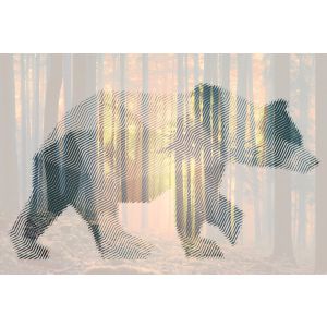 DD118115 Photomural Bear Forest 2