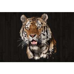 DD118150 Photomural Polygon Tiger 1