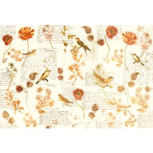 DD118225 Photomural Bird Poesie 2