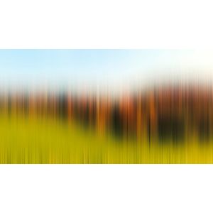 DD118415 Photomural Different Tree Row1