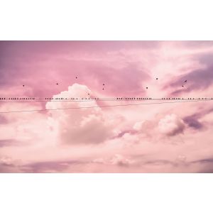 P017-VD4 Photomural Pure