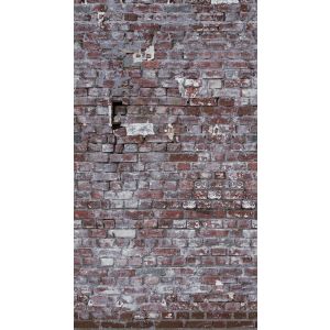 38337-1 Фототапет The Wall