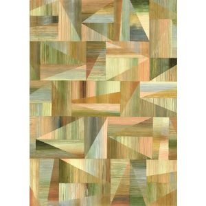 BL2-003 Фототапет Discofox