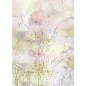 BL2-004 Фототапет Elysian