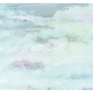 BL3-016 Фототапет Spume