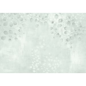 BL4-059 Фототапет Silverstar