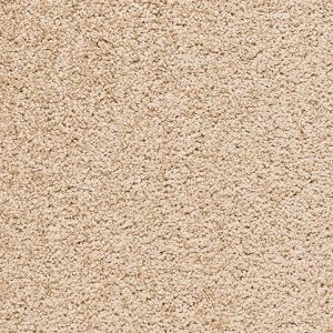 Carpet Bliss 32