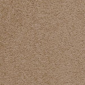 Carpet Bliss 34