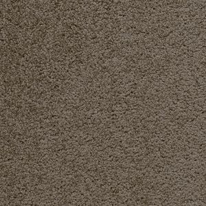 Carpet Bliss 43