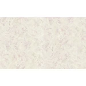 29003 Wallpaper Blumarine 5