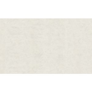 29034 Wallpaper Blumarine 5