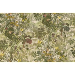 29043 Wallpaper Blumarine 5