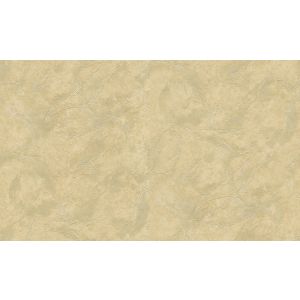 29053 Wallpaper Blumarine 5