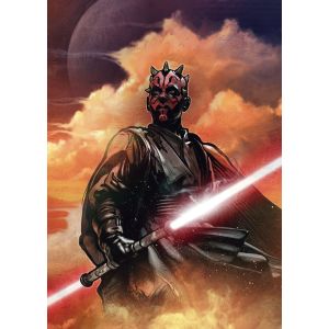 DX4-041 Фототапет Star Wars Classic Darth Maul