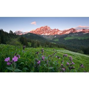 SHX9-069 Фототапет Picturesque Switzerland