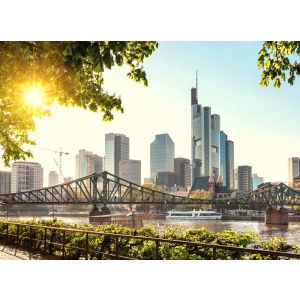 118690 Фототапет Frankfurt City