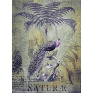 DD119713 Фототапет Artist