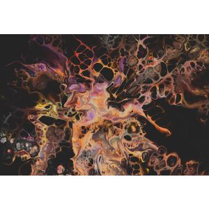 DD120037 Photomural Artist