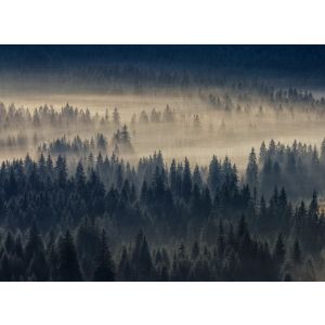 DD123524 Фототапет DesignWalls 2