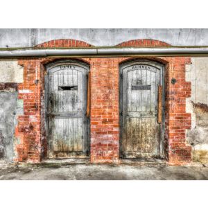 DD123550 Фототапет DesignWalls 2