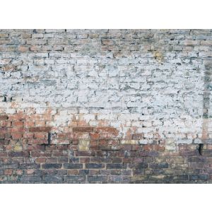 DD123656 Фототапет DesignWalls 2