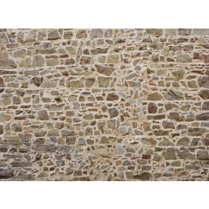 DD123658 Фототапет DesignWalls 2