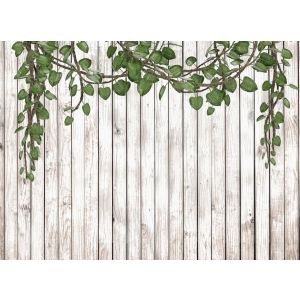 DD123666 Фототапет DesignWalls 2