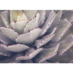 DD123676 Фототапет DesignWalls 2