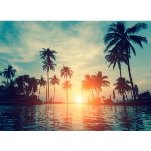 DD123680 Фототапет DesignWalls 2