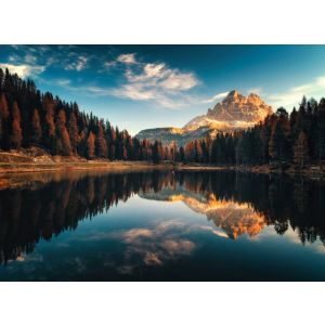 DD123684 Фототапет DesignWalls 2