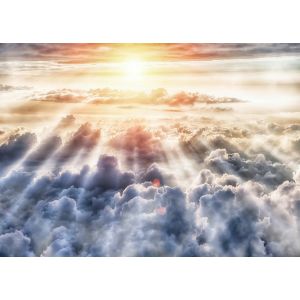 DD123692 Фототапет DesignWalls 2