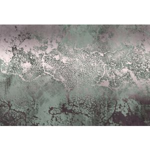 DD133949 Фототапет Walls by patel 5 Metallica1