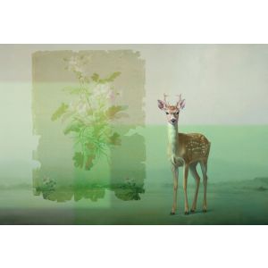 DD134609 Фототапет Walls by patel 5 Pixi2