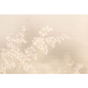 DD134723 Photomural Walls by patel 5 Soft Meadow3