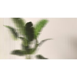 DD134963 Photomural Walls by patel 5 Verdura1