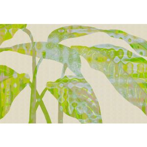 DD135119 Photomural Walls by patel 5 Flux2