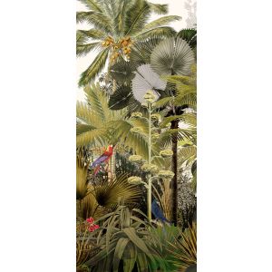 DG2DIS1013 Пано Discover