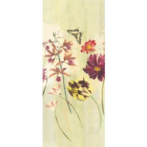 DG2ELI1021 Пано Elise