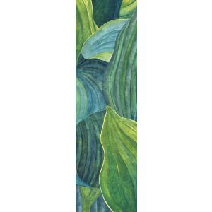 DG2HOS1011 Пано Hosta