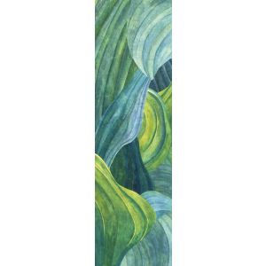 DG2HOS1012 Пано Hosta