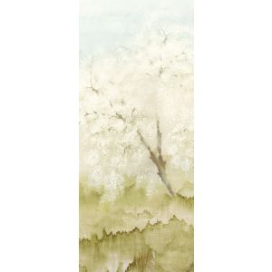 DG2ISA1033 Пано Misaki