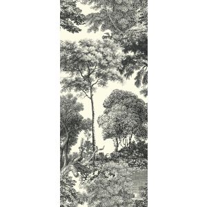 DG2SAL1012 Пано Salcey