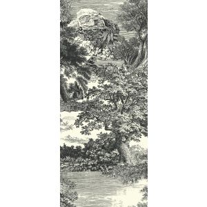 DG2SAL1013 Пано Salcey