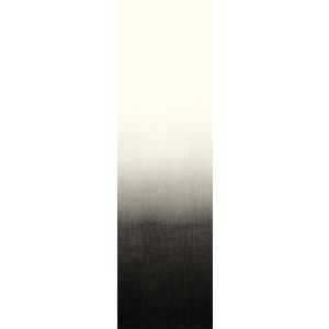 DG2SHA107 Пано Shady