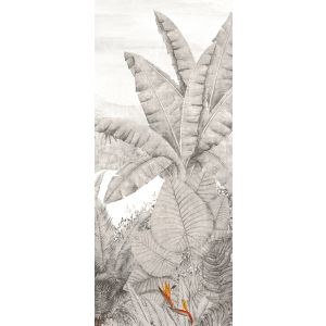 DG3RAI1013 Photomural Rainforest