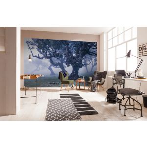 SH052-VD4 Фототапет Ghost Line